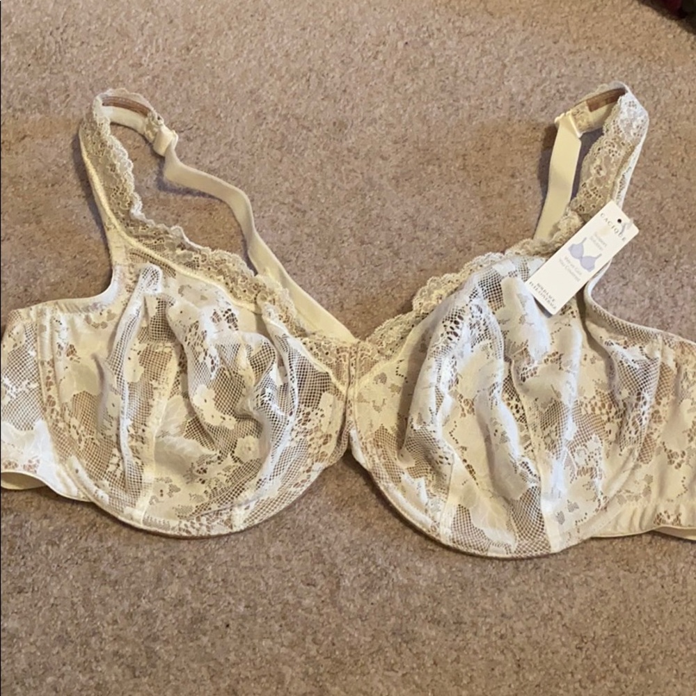 Lace Bra